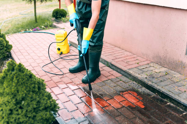Professional Pressure Washing Services in Valley Grande, AL